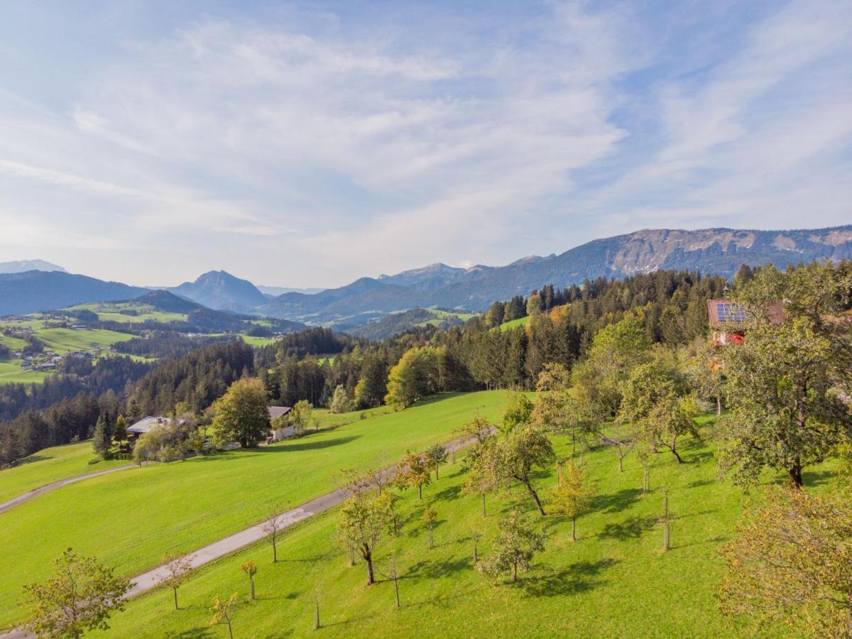 Holiday Home Oberhaslach By Interhome Abtenau Esterno foto