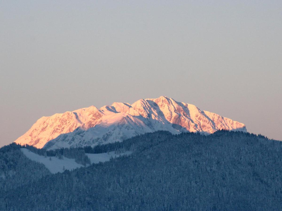 Holiday Home Oberhaslach By Interhome Abtenau Esterno foto